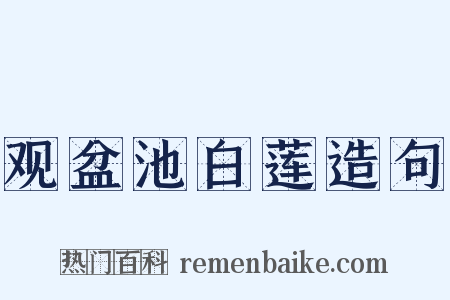 观盆池白莲造句是什么意思的图片